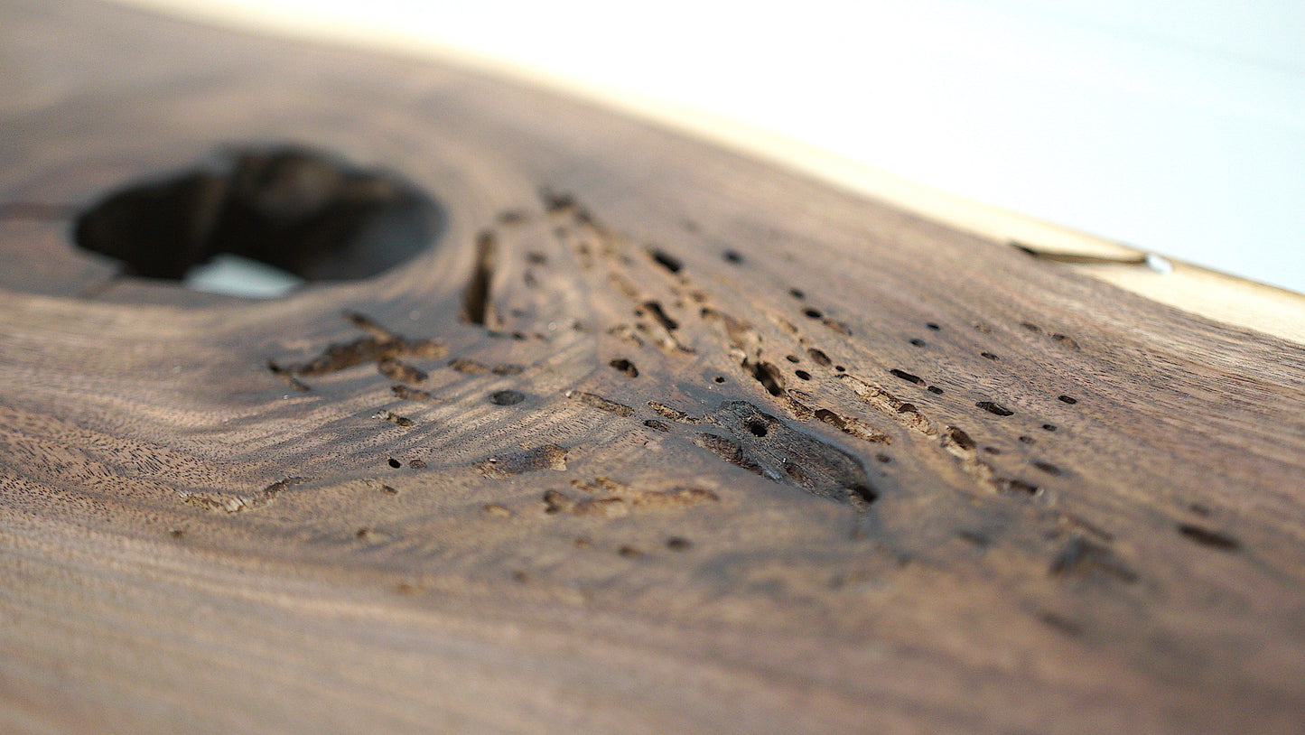 Cambium Bench