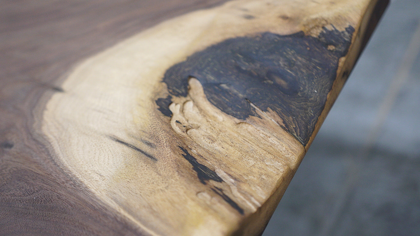 Cambium Bench