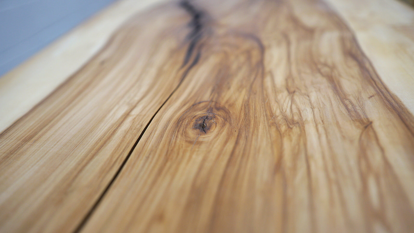 Xylem