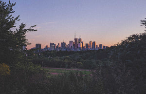 Toronto's Urban Forest Collection