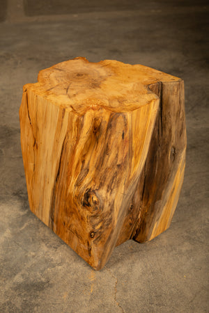 The Woodsy Cube