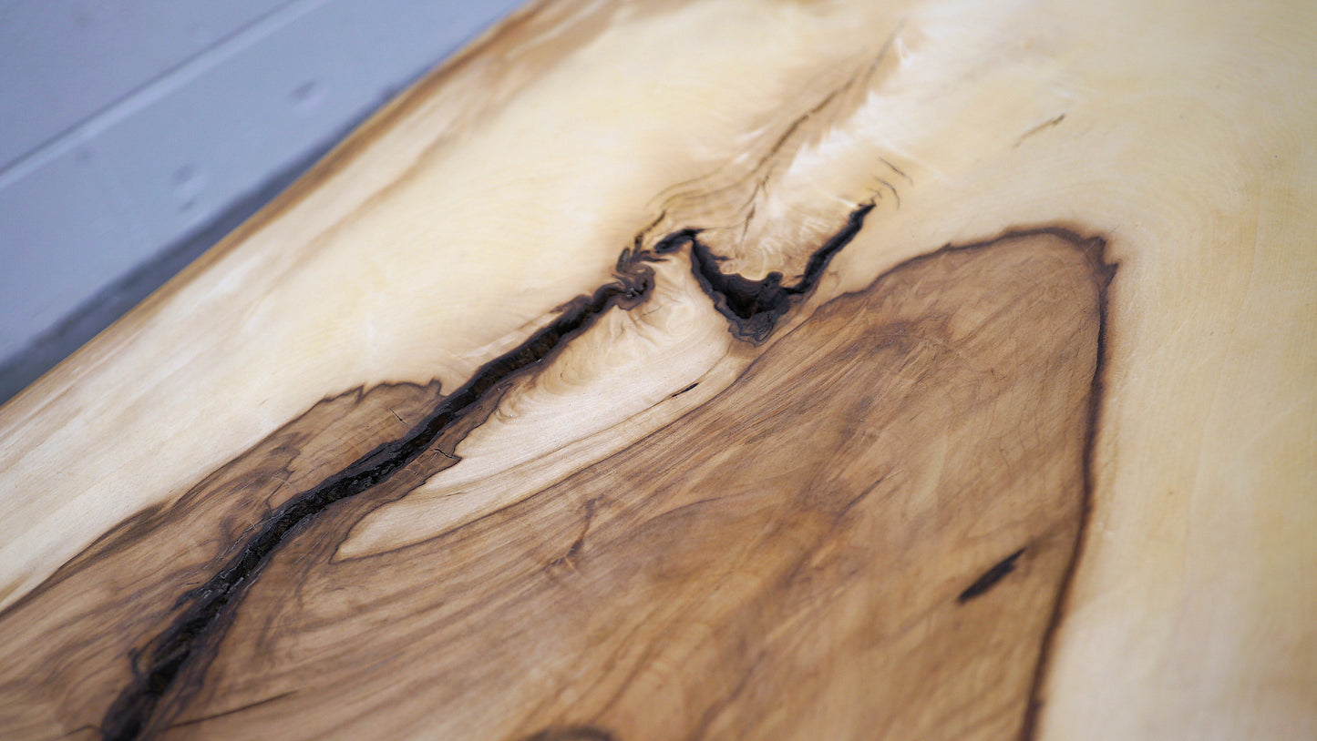 Xylem